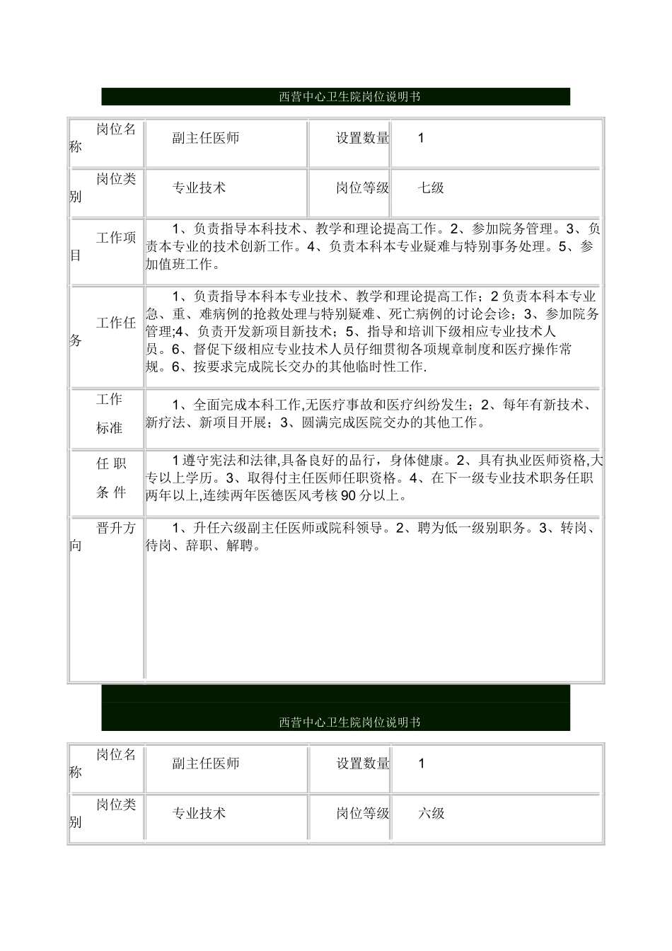 乡镇卫生院岗位说明书_第1页