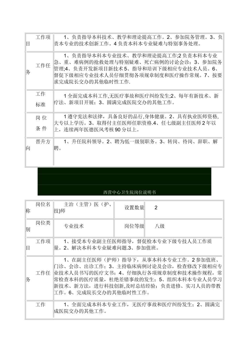 乡镇卫生院岗位说明书_第2页