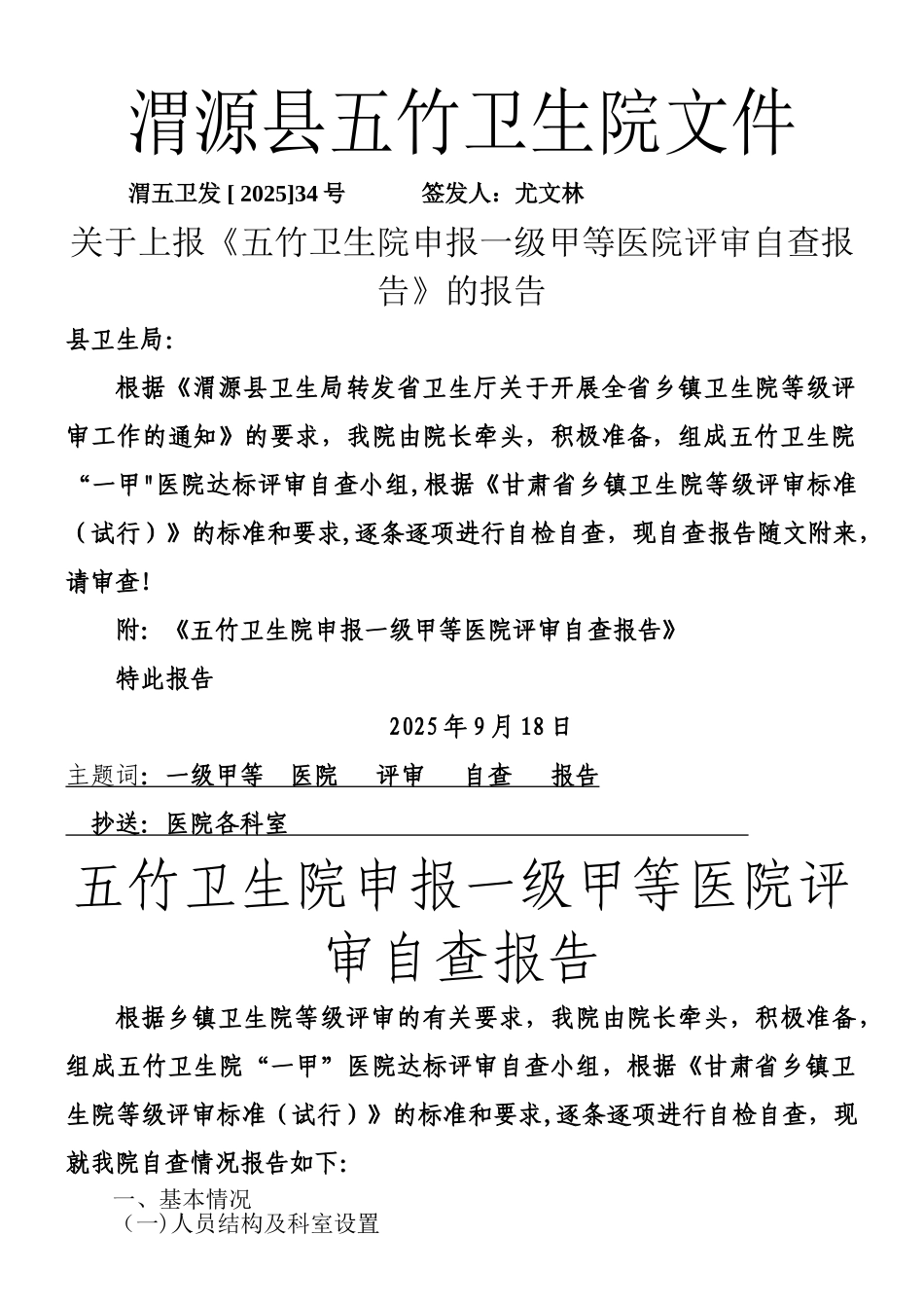 乡镇卫生院等级达标评审自查报告文件_第1页