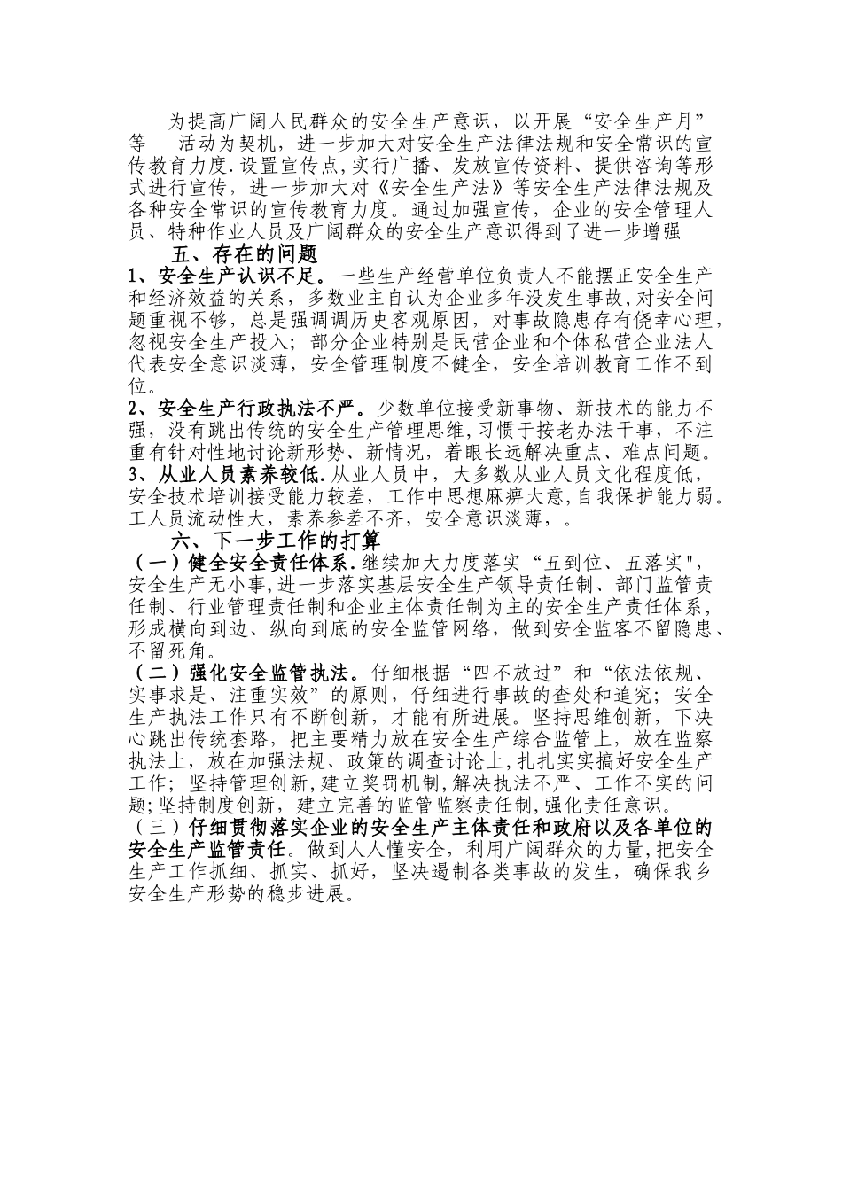 乡镇安全生产大检查工作总结汇报_第2页