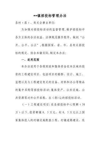 乡镇招投标管理办法