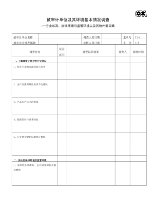 了解被审计单位及其环境工作底稿