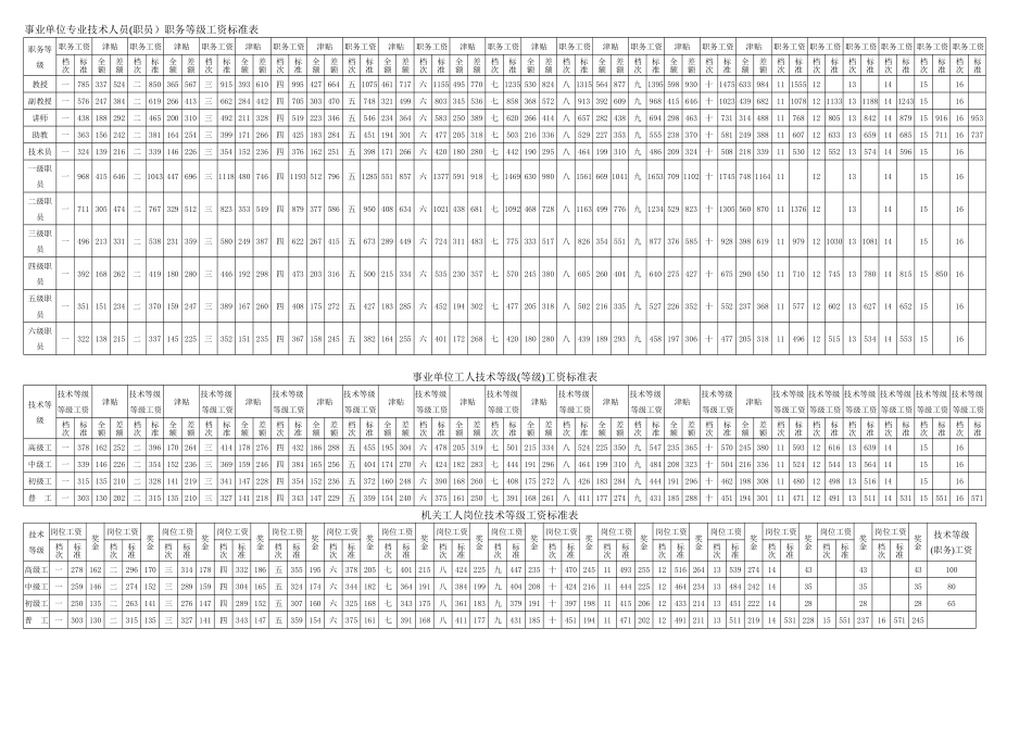 事业单位专业技术人员职务等级工资标准表_第1页