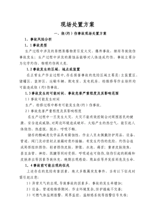 事故现场处置方案