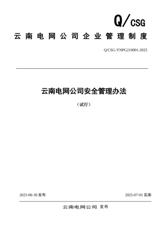 云南电网公司安全管理办法
