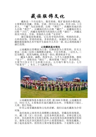 云南藏族服饰文化