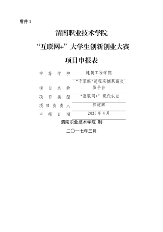 互联网+项目申报表