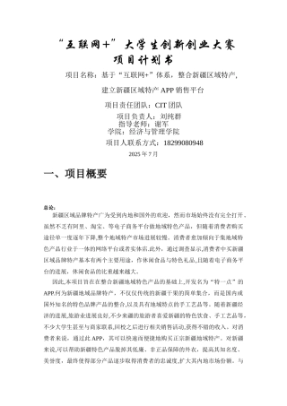 互联网+项目计划书54310