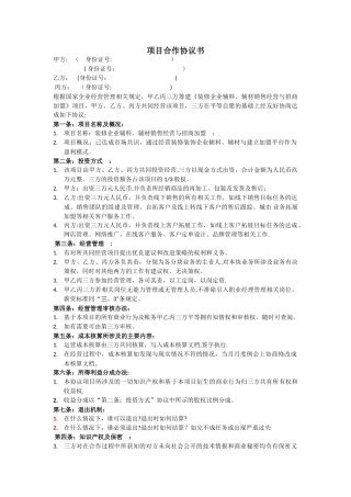 互联网项目合作协议书范本