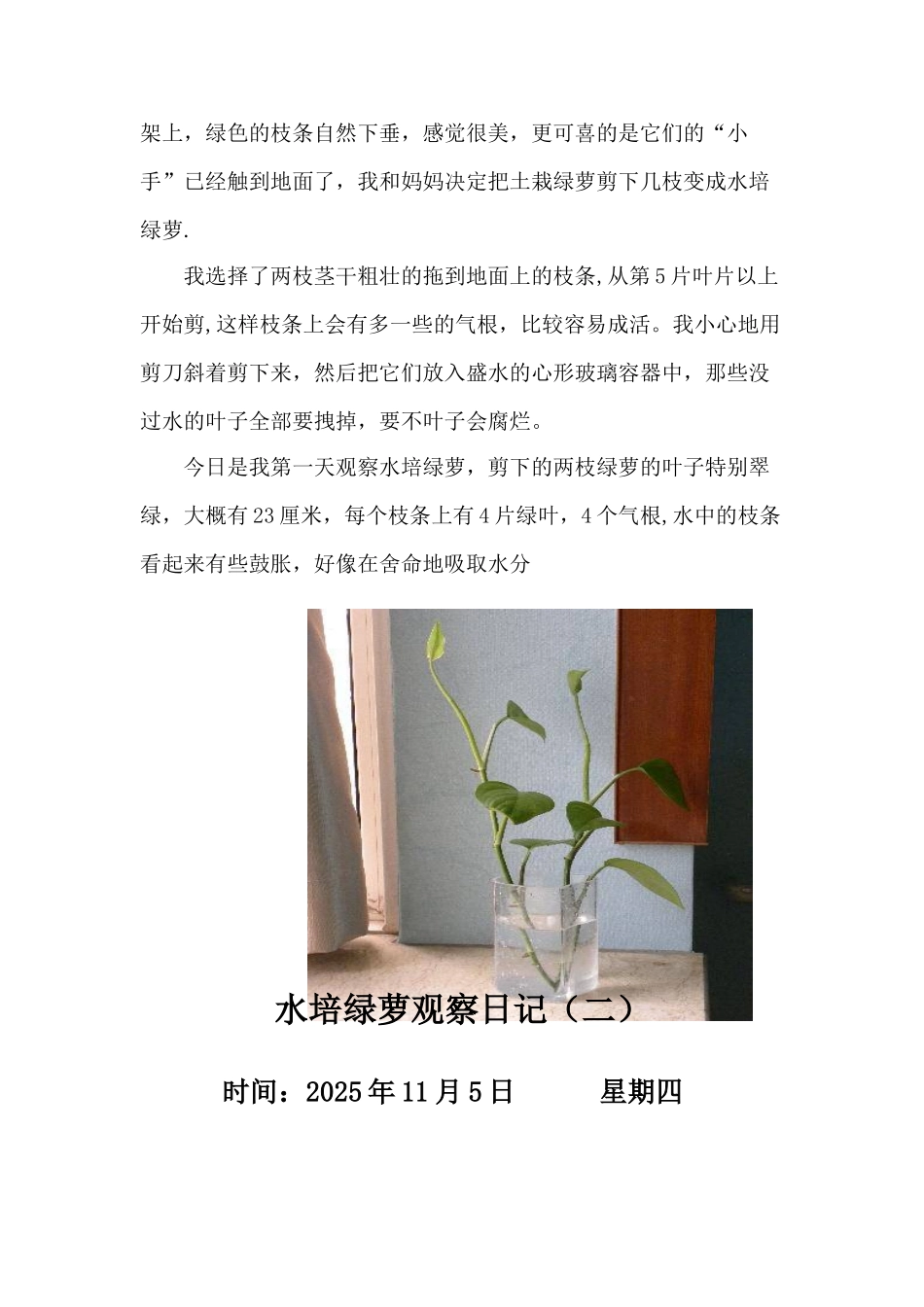 五一班水培绿萝观察日记_第3页