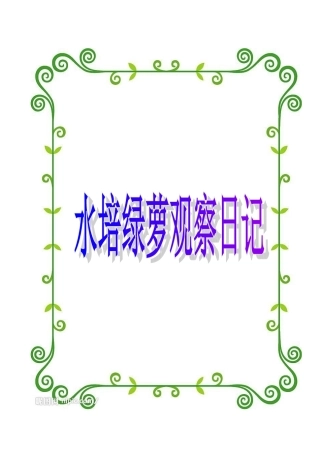五一班水培绿萝观察日记