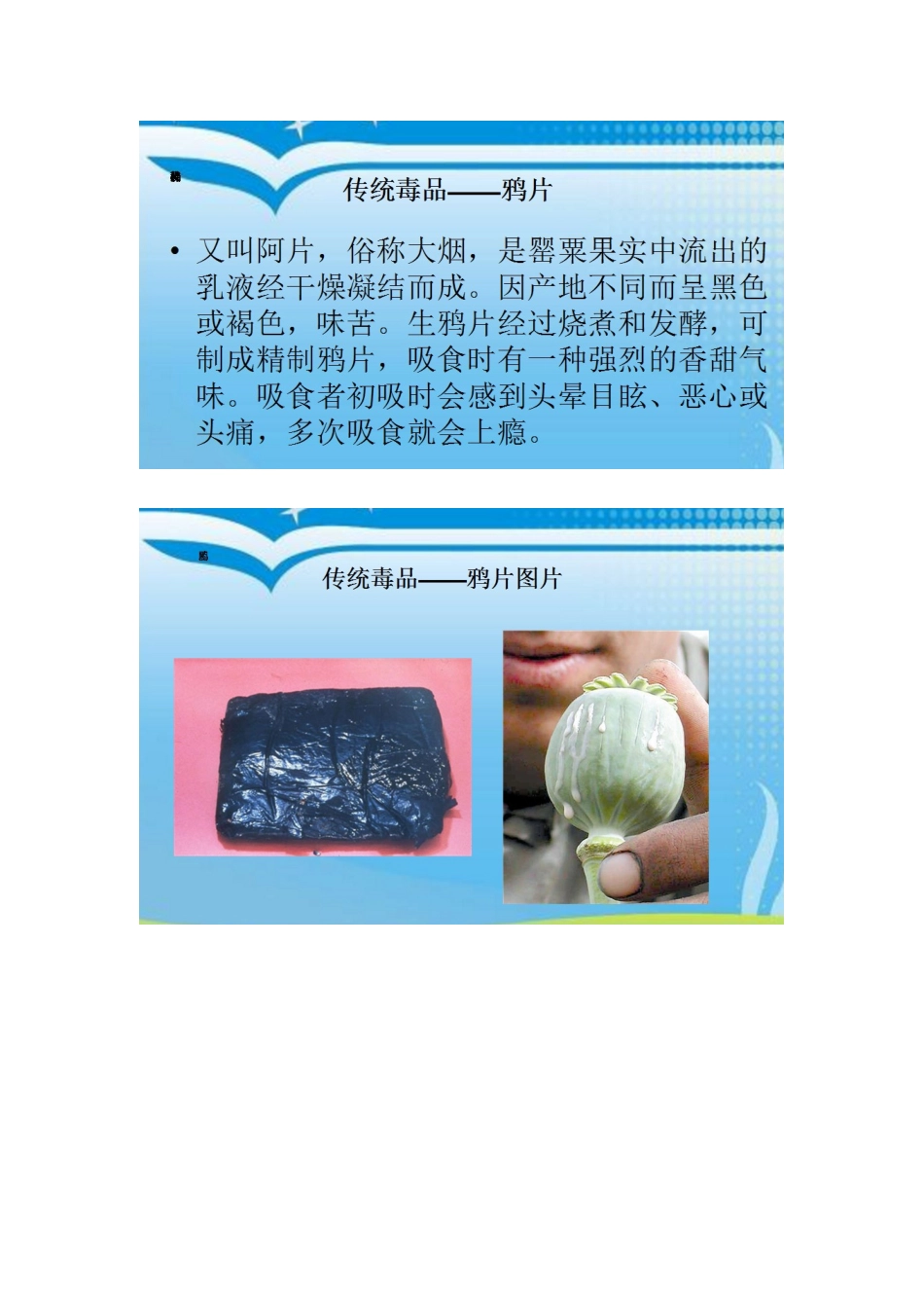 五种常见传统毒品_第3页