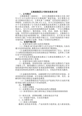 五粮液集团公司财务报表分析