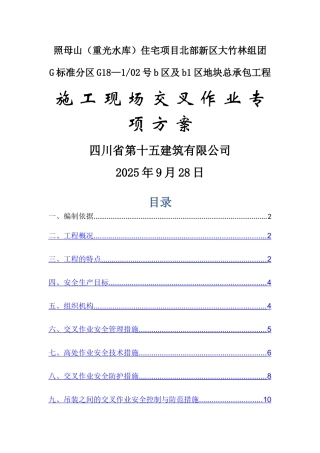 交叉作业专项方案