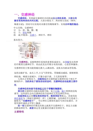 交感神经与副交感神经