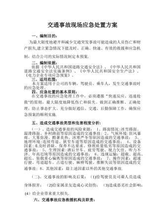 交通事故现场处置方案31607