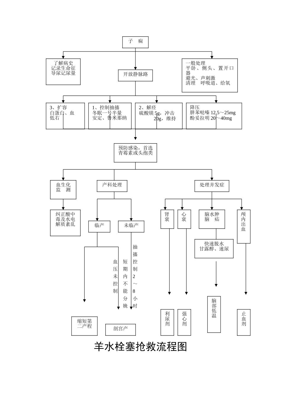 产后出血抢救流程图07245_第2页
