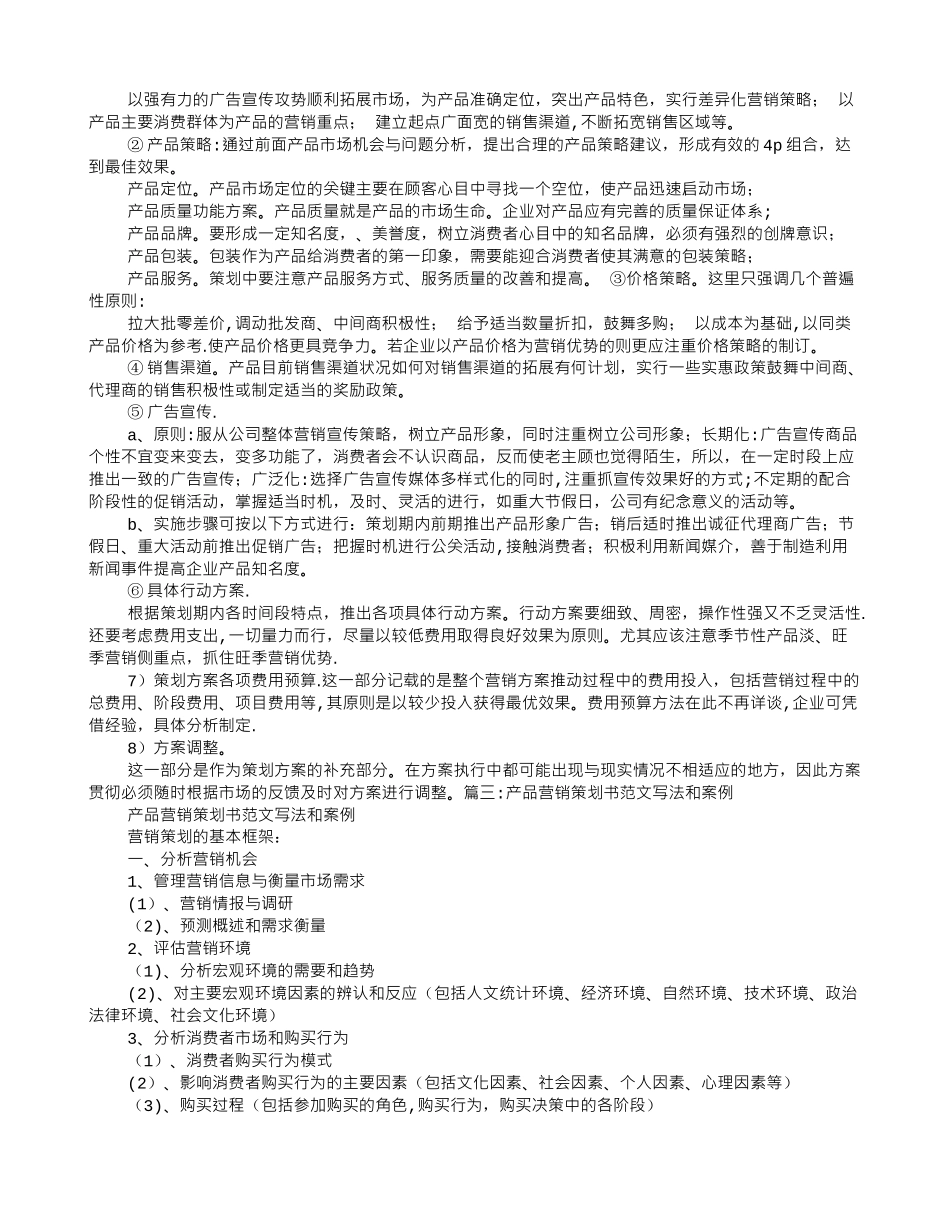 产品方案策划范本_第3页