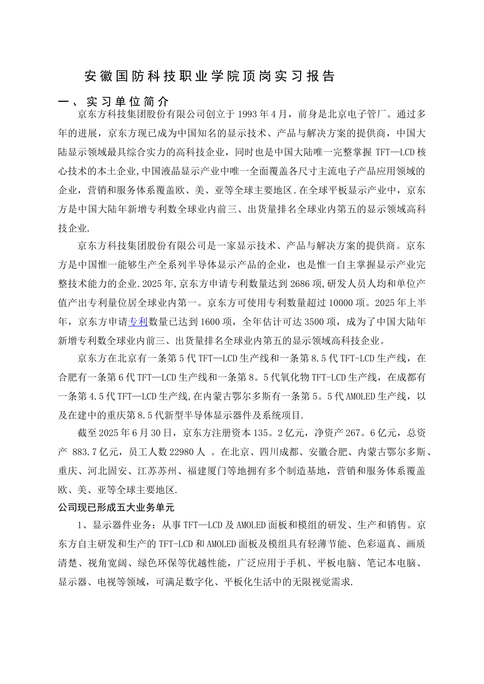 京东方顶岗实习报告_第2页