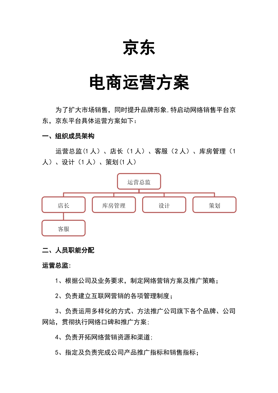 京东电商运营方案_第1页