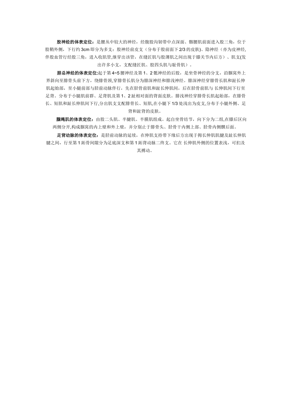 人体体表定位标志_第3页