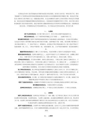 人体体表定位标志