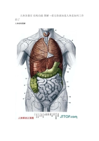 人体各器官-结构功能-图解