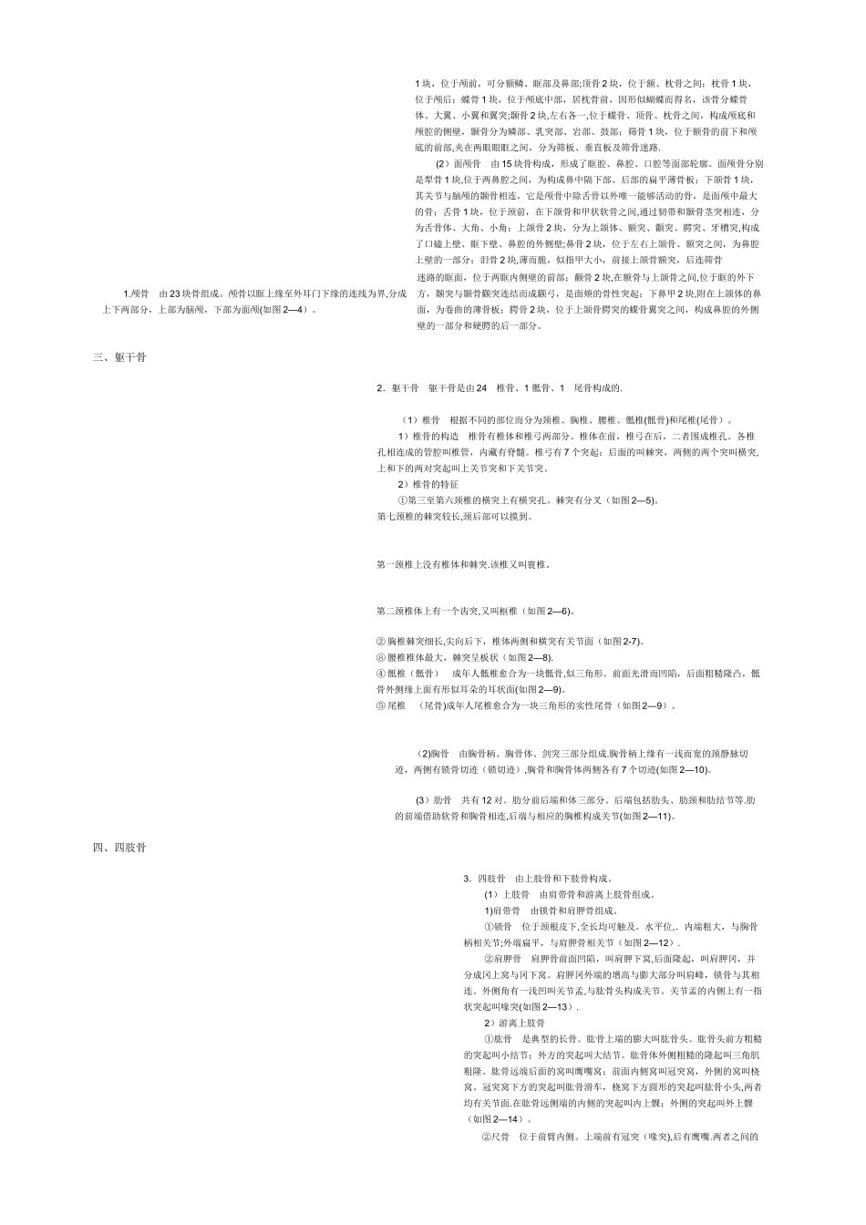 人体各部位名称及体表标志_第2页