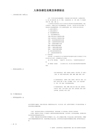 人体各部位名称及体表标志