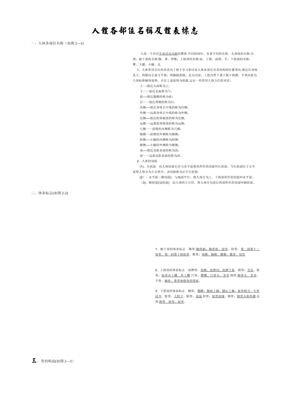 人体各部位名称及体表标志33653_第1页