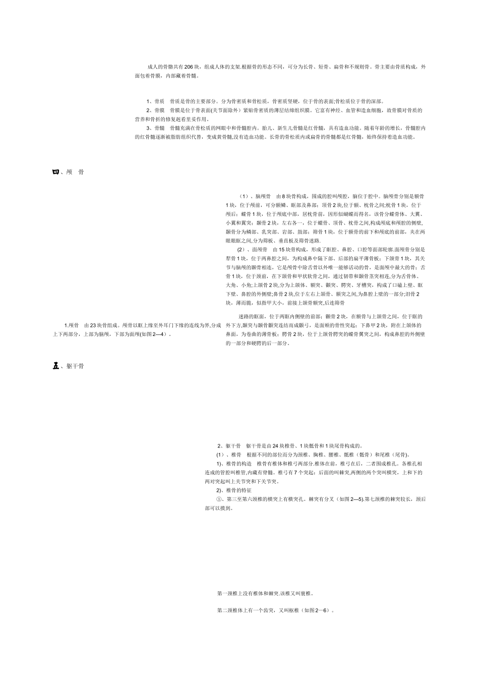人体各部位名称及体表标志33653_第2页