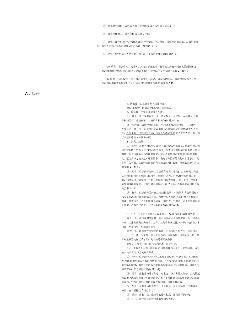 人体各部位名称及体表标志33653_第3页