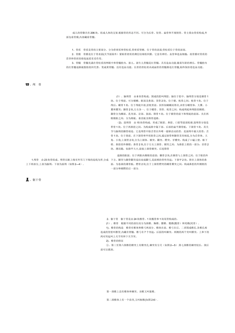 人体各部位名称及体表标志81395_第2页