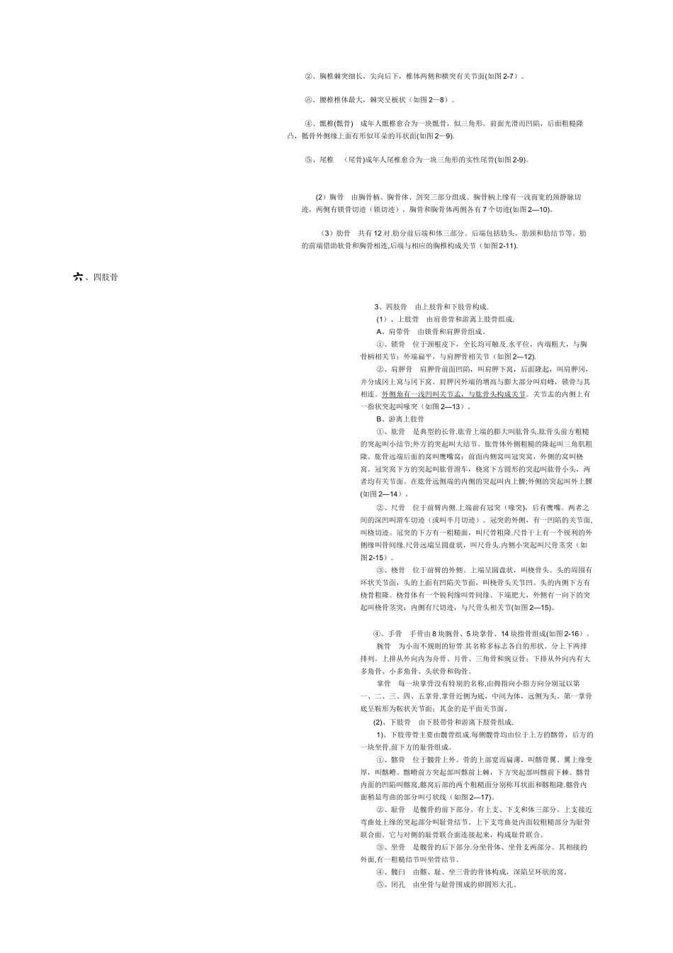 人体各部位名称及体表标志81395_第3页