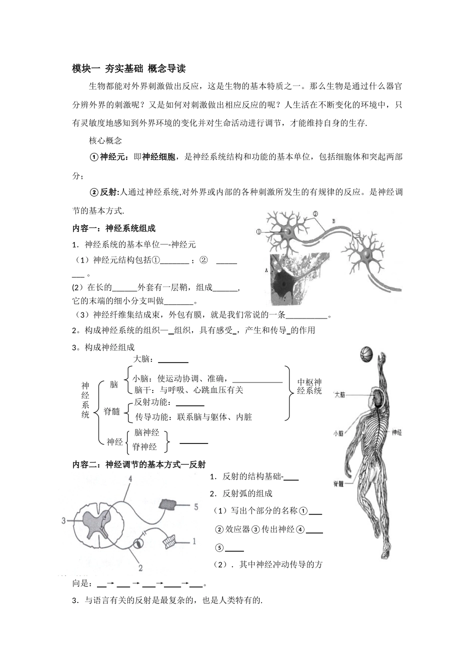 人体生命活动的调节_第2页
