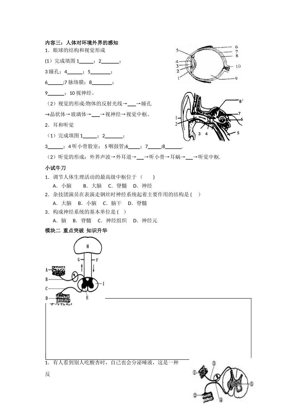 人体生命活动的调节_第3页