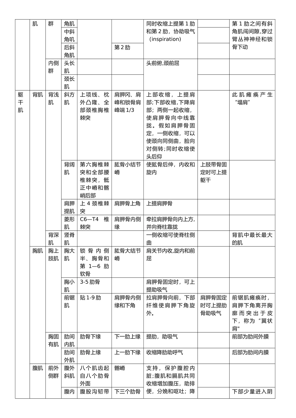 人体肌肉重点总结_第2页