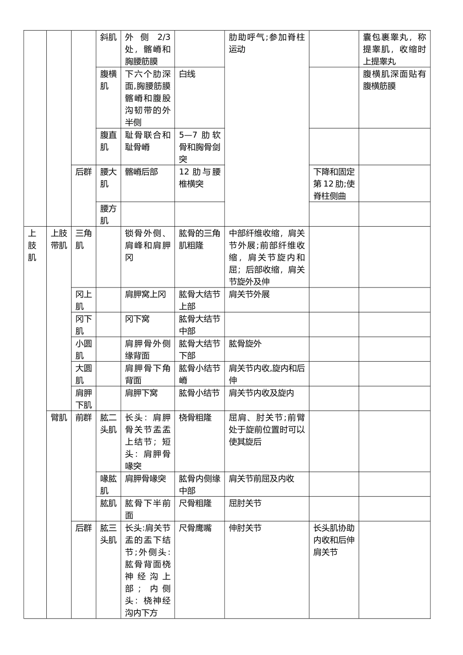 人体肌肉重点总结_第3页
