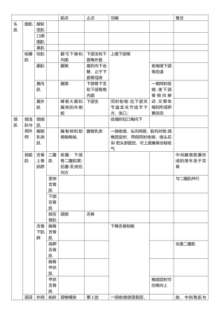 人体肌肉重点总结