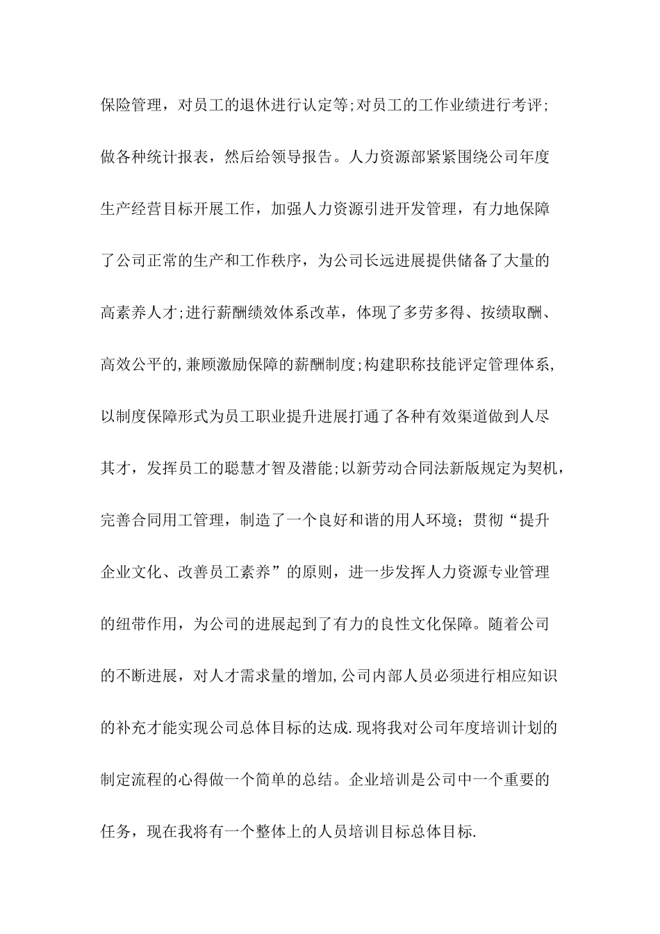 人力资源一级管理师工作总结样本_第2页