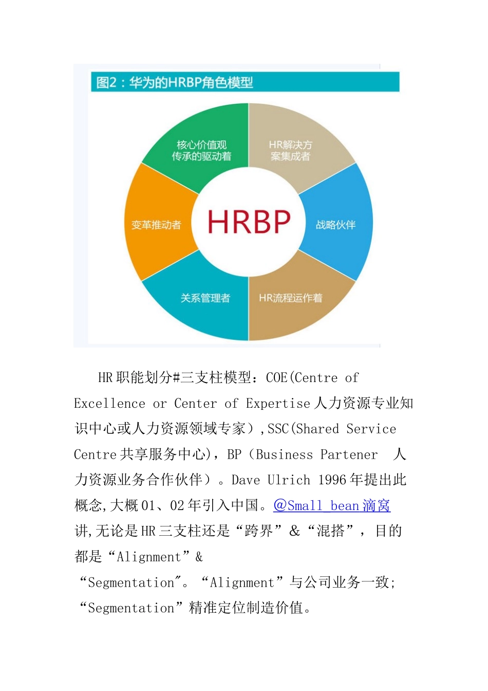人力资源三支柱体系_第3页