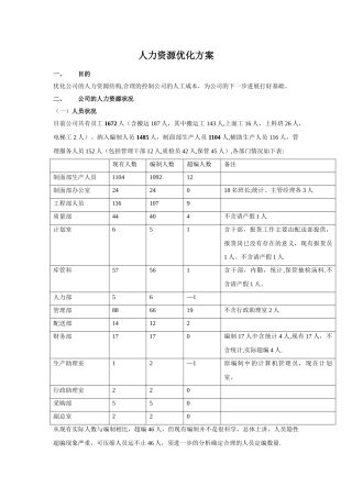 人力资源优化方案