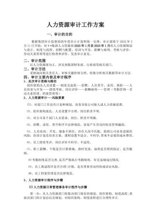 人力资源审计工作方案