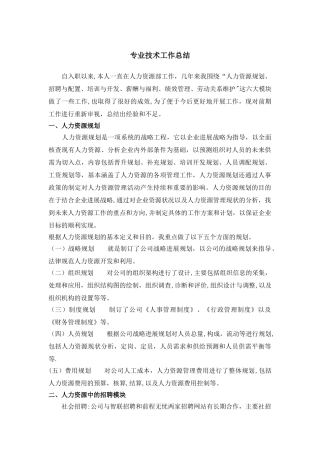 人力资源师专业技术工作总结