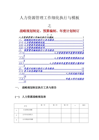 人力资源战略规划、预算编制、年度计划编写