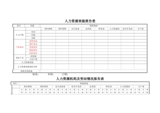 人力资源效能报告表