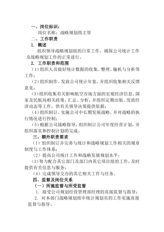 战略规划组主管工作说明书