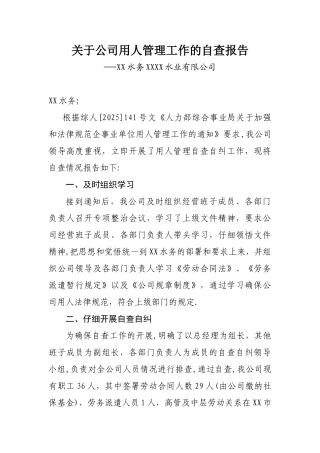 人力资源自查情况报告