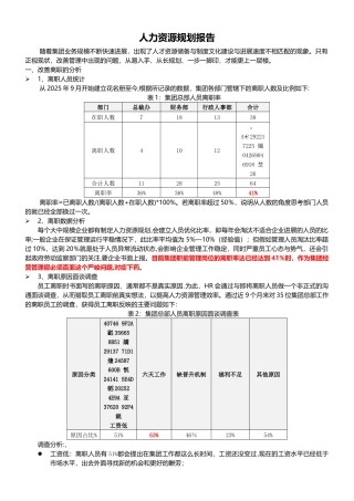 人力资源规划报告