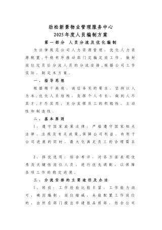 人员编制优化方案